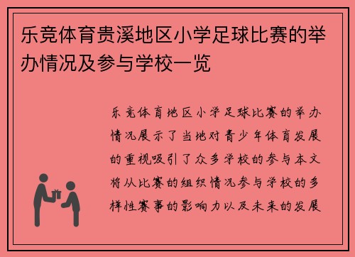 乐竞体育贵溪地区小学足球比赛的举办情况及参与学校一览